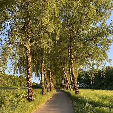 Haus 8 Ferienpark, Idylle Und Ruhe In Der Naehe Von Den Externsteinen Nieheim